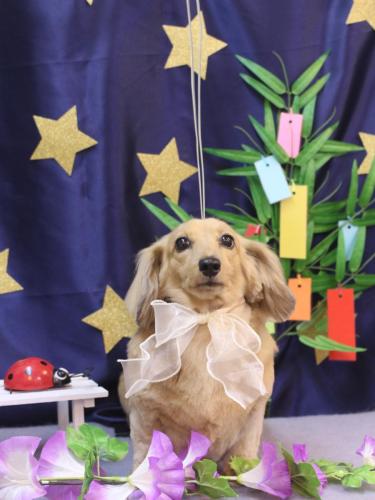 20230709モカちゃん